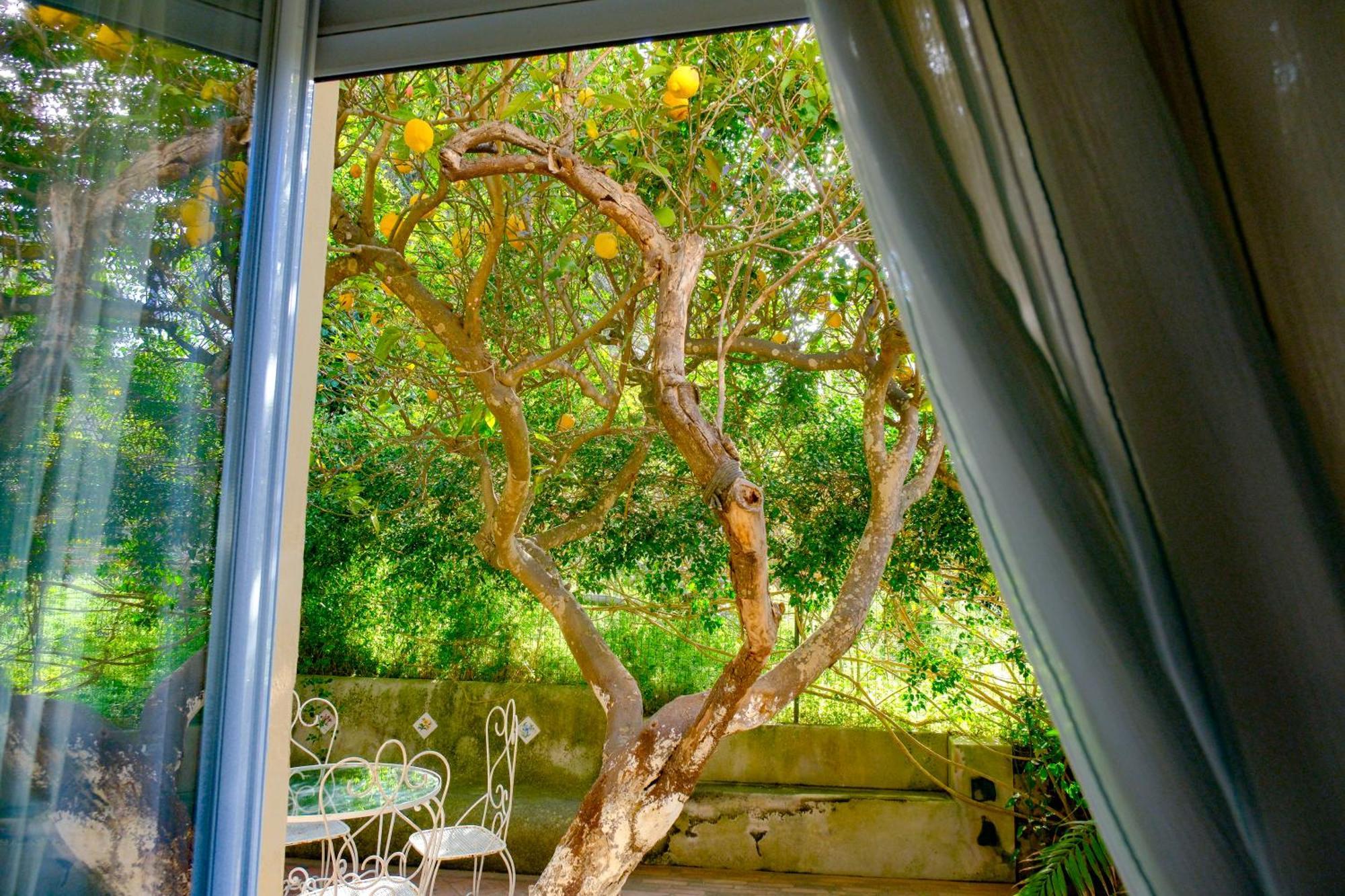 Villa Dorothee Capri Ngoại thất bức ảnh